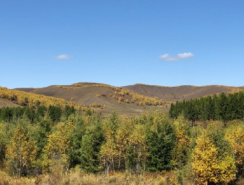010221200085rpwqr7313_W_640_0_Q90.jpg