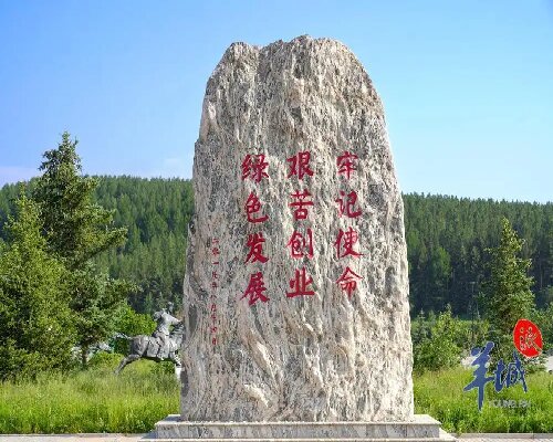 没人相信这片高原能种树。年均积雪七个月，地表温度能把胶鞋底烫开胶。