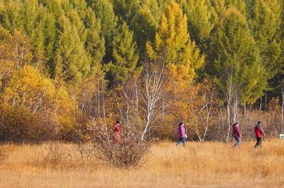 塞罕坝党建培训内容：传承红色基因，坚定理想信念