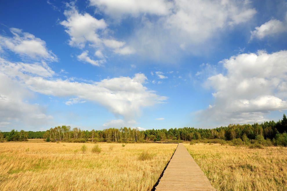 塞罕坝党建培训特色 理论实践双驱教学新路径