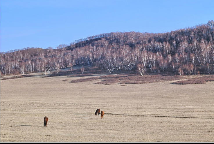 t03a1afc7aceab34f03.jpg t03a1afc7aceab34f03.jpg