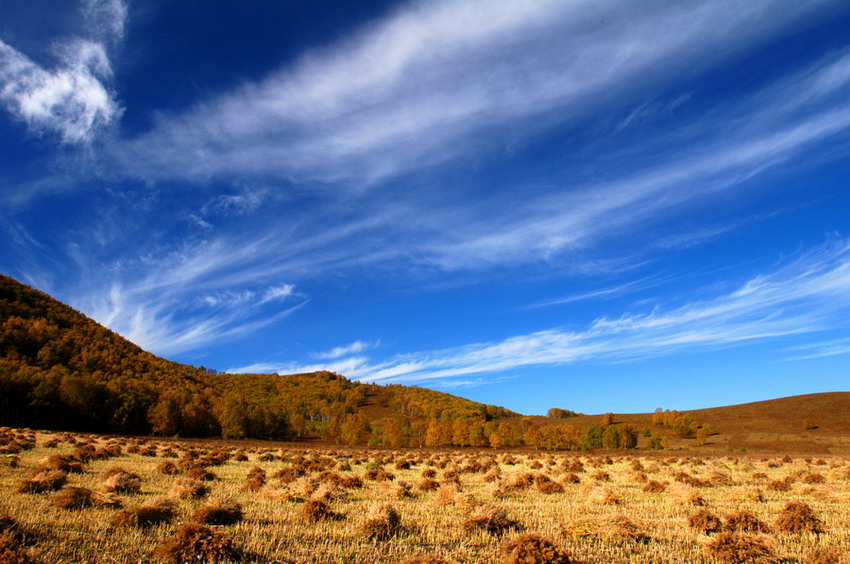 塞罕坝精神与高校党组织建设深度融合