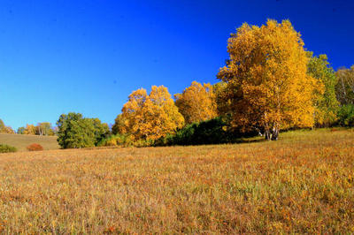 思政教师培训：塞罕坝故事课堂落地实用路径
