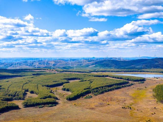 中高校党组织培训 塞罕坝精神青年化表达新思