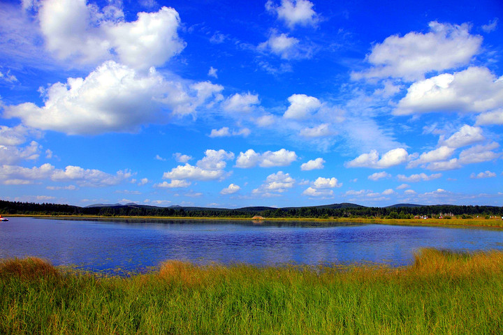 塞罕坝党建引领干部培训 解锁全新学习体验