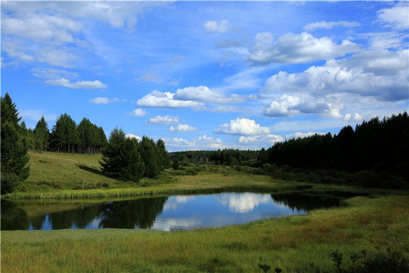 塞罕坝绿色思政课 开启教师培训新征程