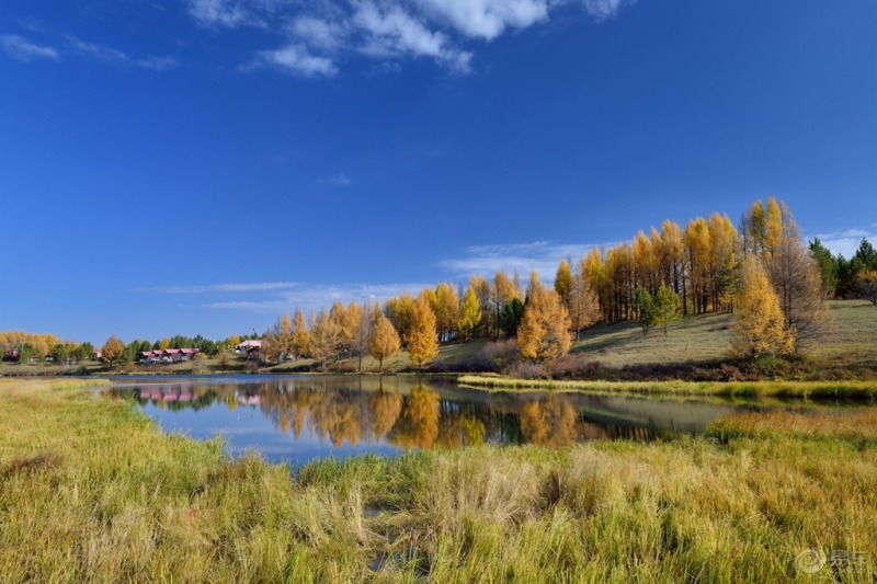 塞罕坝：思政教师培训的绿色实践沃土