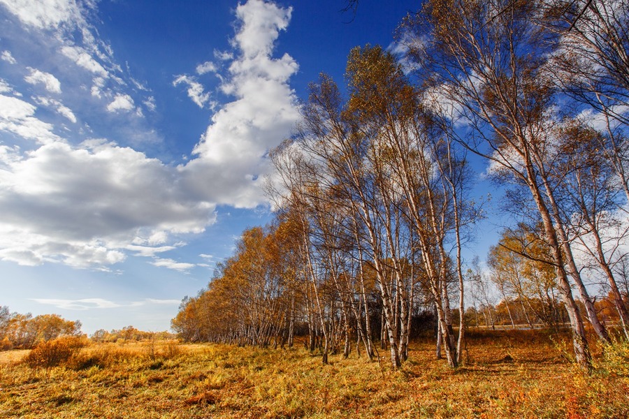 14103766_1445139812624_mthumb.jpg 14103766_1445139812624_mthumb.jpg