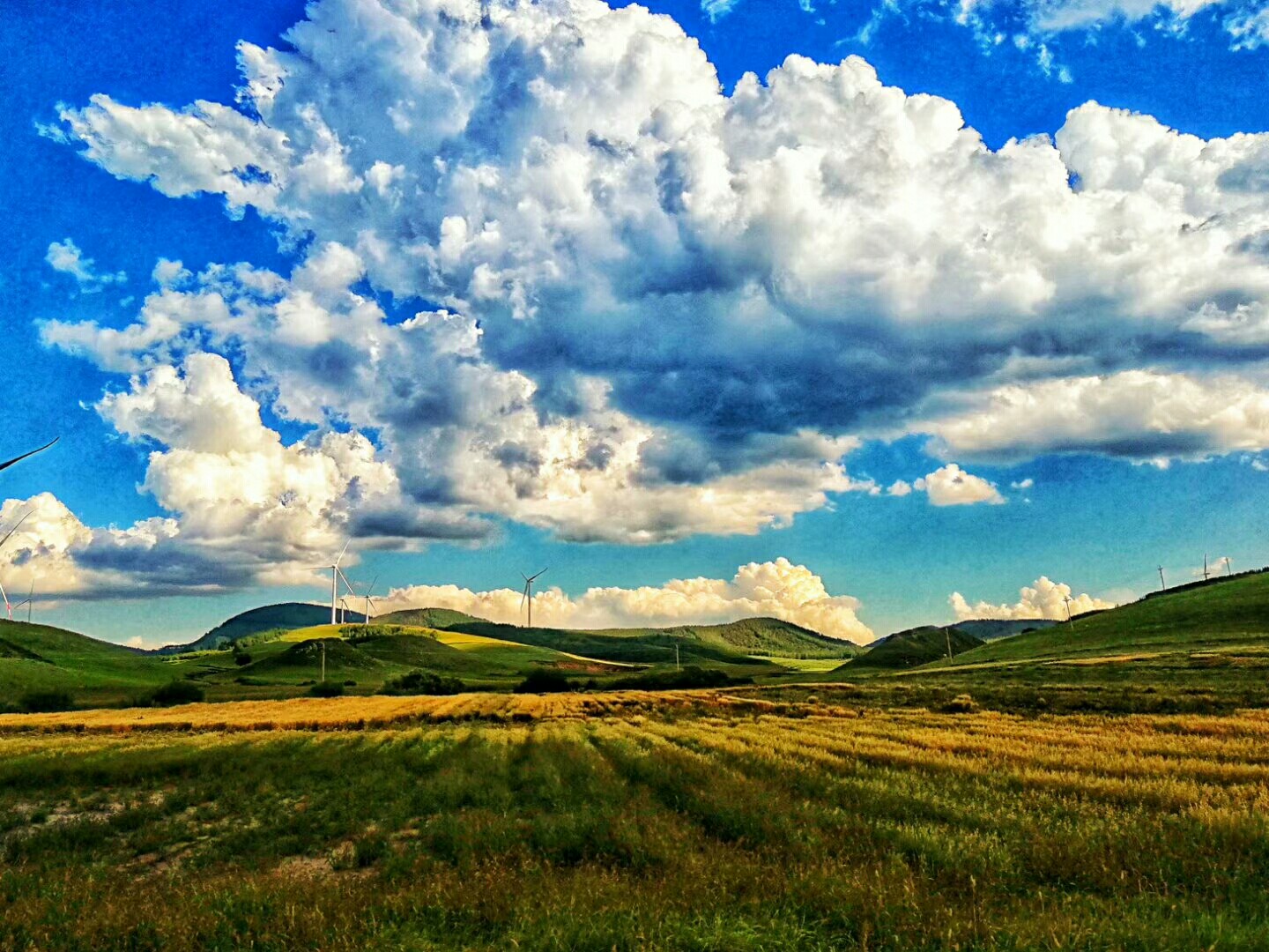 t01d7a1b0ce2165c190.jpg t01d7a1b0ce2165c190.jpg