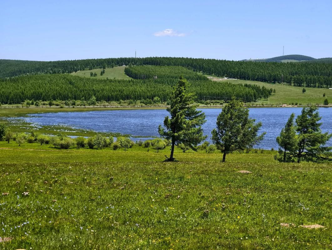 t04b2875dcbfccb8f14.jpg t04b2875dcbfccb8f14.jpg