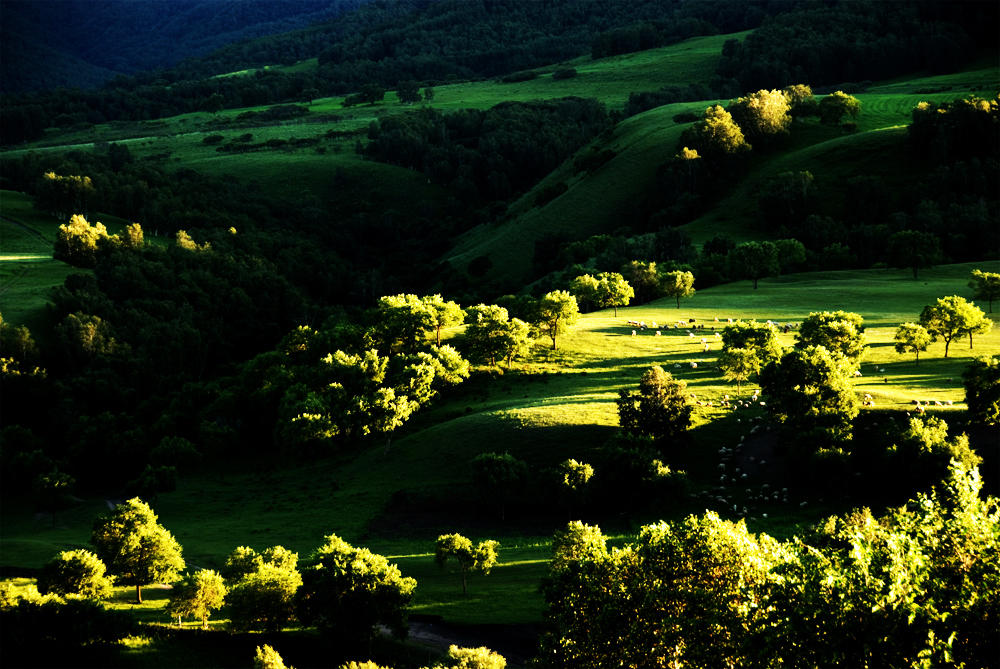 思政教师培训新挑战 塞罕坝绿色教育破局