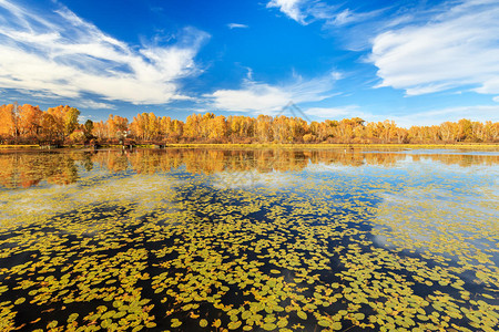塞罕坝党建培训 为基层注入绿色新活力