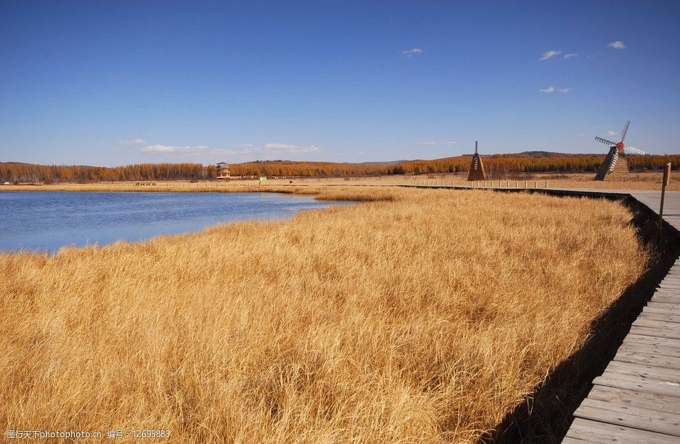 塞罕坝绿色思政课 开启教师培训新征程