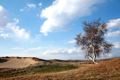 塞罕坝红色教育基地：基层党建的鲜活实践课堂