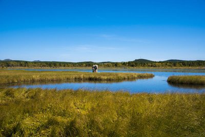 t04a0870f256296c233.jpg t04a0870f256296c233.jpg