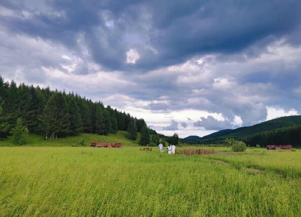 塞罕坝干部培训，何以成为党建引领的重要抓手？