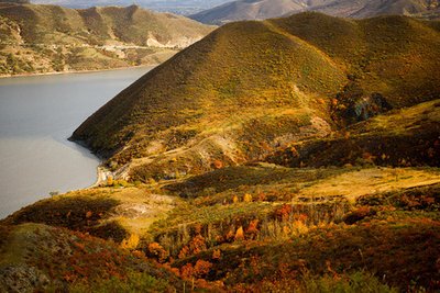 塞罕坝干部培训：点燃党员干部干事创业新引擎