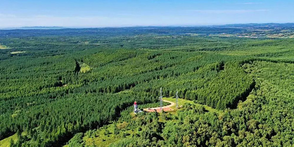 以塞罕坝精神赋能 提升机关党员生态治理能力