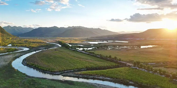 塞罕坝精神如何重塑新时代干部培训：3个关键转向与路径创新