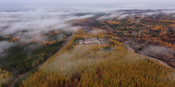 塞罕坝精神：干部教育培训的绿色引擎与红色基石