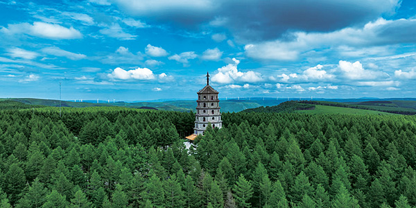 精神培育新沃土：塞罕坝精神融入干部培训的实践路径与价值深研