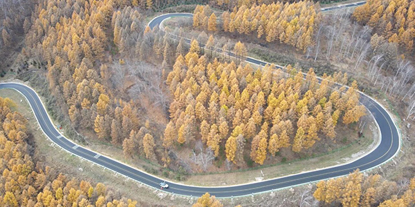 塞罕坝模式干部培训：打造新时代能力标杆