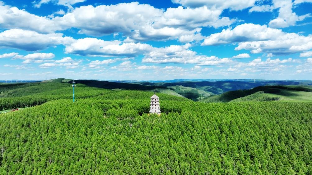 在塞罕坝读懂时代课题：从基层党建到破解一切工作难题的深层启示