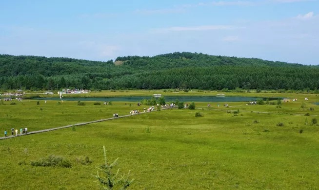 塞罕坝教育基地为何成为干部锻造使命担当的首选场域?灵魂与山河共铸