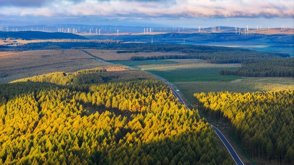 塞罕坝绿色生态干部培训 解锁生态思政新课堂