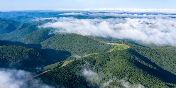 塞罕坝生态治理赋能干部问题解决培训新路径