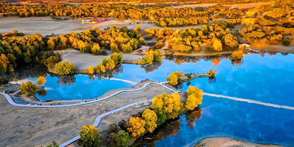 塞罕坝精神融入党风廉政建设 党建培训新内核