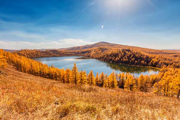 塞罕坝到西柏坡双红色基地联动 解锁党建干部培训新路径