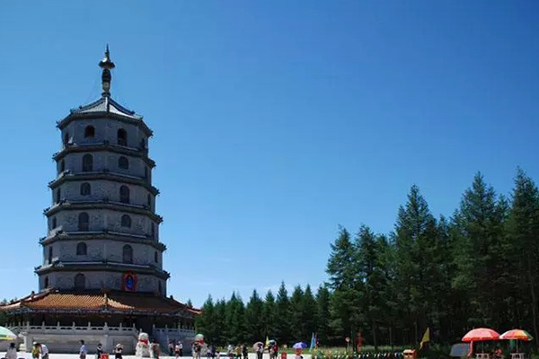 3个痛点解析：塞罕坝精神如何重塑思政教育