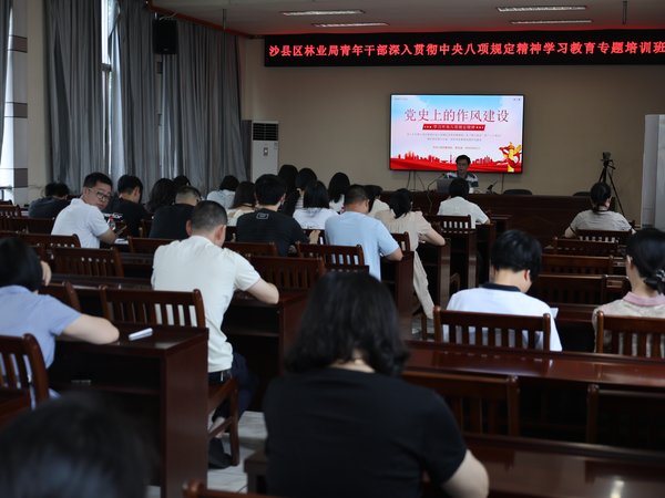 实效型干部培训落